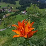Nigglerhof Privat bolig