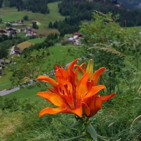 Nigglerhof Privat bolig