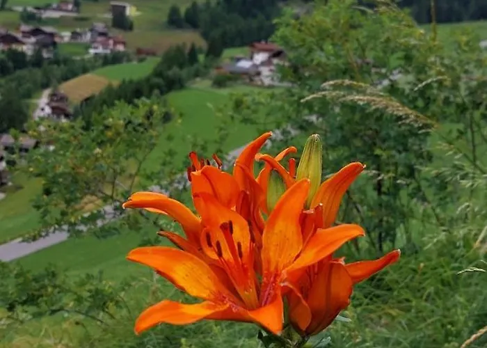 Nigglerhof ホームステイ